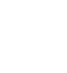 Leadership Resetting THE CULTURE Drug Pricing New model implications Regulatory CRL risk reduction