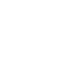 Market Access ENJOY the JOURNEY Patient Support Adherence & ROI Regulatory Quality incentives 